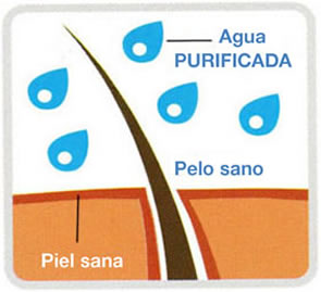 Pelo y Cuero Cabelludo sano con filtro para ducha