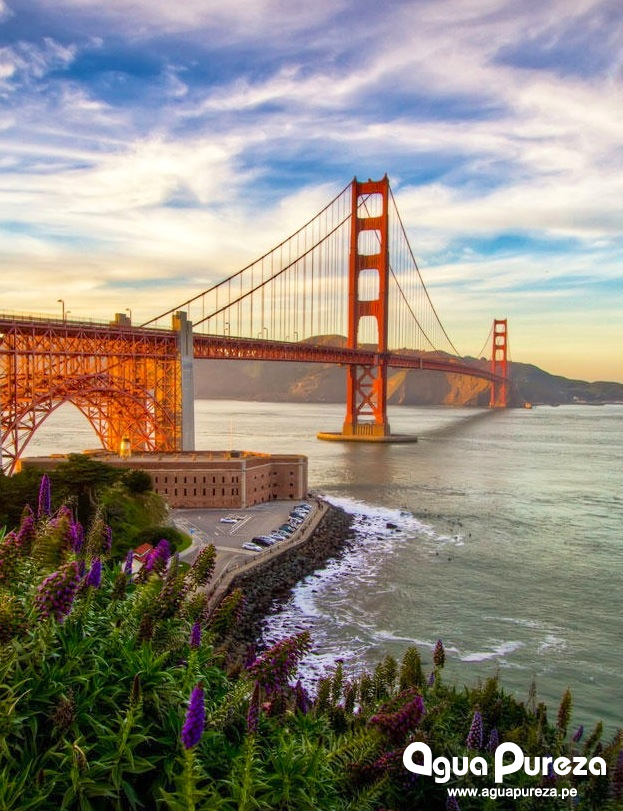 prohiben agua embotellada envasada en san francisco